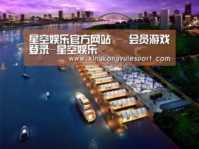 案例展示八